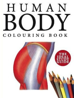 Human Body Colouring Book - Peter Abrahams