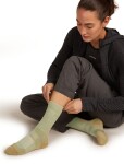 ICEBREAKER Wmns Hike+ Light Crew, Lichen/Sand velikost: 41-43 (L)