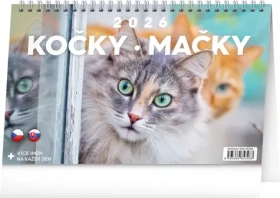 NOTIQUE Stolní kalendář Kočky – Mačky CZ/SK 2026, 23,1 x 14,5 cm (PGS-35348)