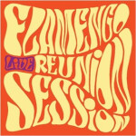 Live - LP - Reunion Session Flamengo