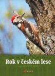 Rok v českém lese - e-kniha