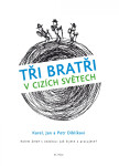 Tři bratři v cizích světech - Jan Diblík