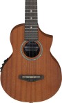 Ibanez UEW5E Natural