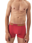 Pánské boxerky 2 pack 42628 Star - HENDERSON vícebarevná 3XL