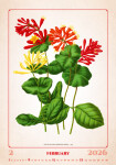 Nástěnný kalendář 2026 Helma - Herbarium, 31,5 x 45 cm