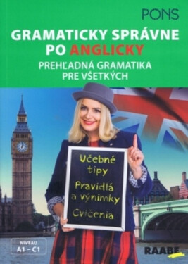 Gramaticky správne po anglicky - Birgit Piefke Wagner