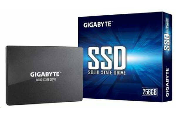 Gigabyte 256GB, SSD, GP-GSTFS31256GTND