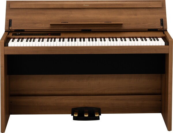 Korg Poetry Magnifique