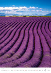 Nástěnný kalendář 2026 Helma - Provence