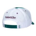 Mitchell & Ness Pánská Kšiltovka Anaheim Ducks NHL Sideline Trucker Vntg Ducks