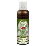Naděje Tinktura z byliny Jeřáb ptačí 50 ml
