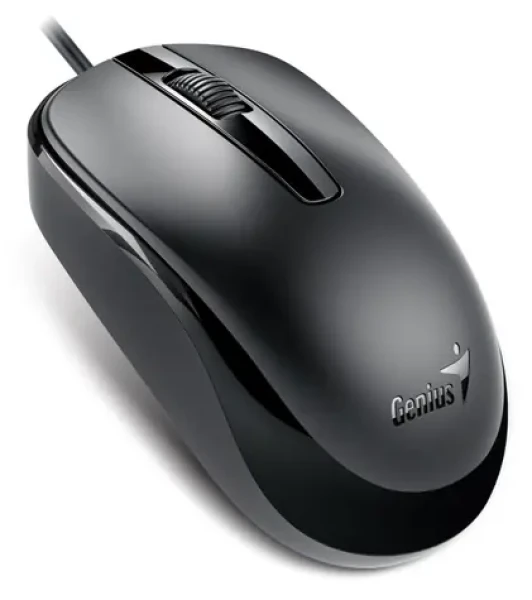 GENIUS DX-120 černá / drátová / 1200 dpi / USB-C (31010029401)
