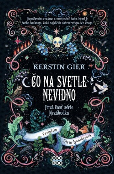 Čo na svetle nevidno - Kerstin Gierová - e-kniha