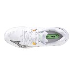 Mizuno Wave Lightning Z shoe v1ga2400-16