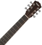 Taylor BT1 LH