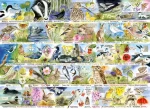 GIBSONS Puzzle RSPB: Kouzlo jarní přírody