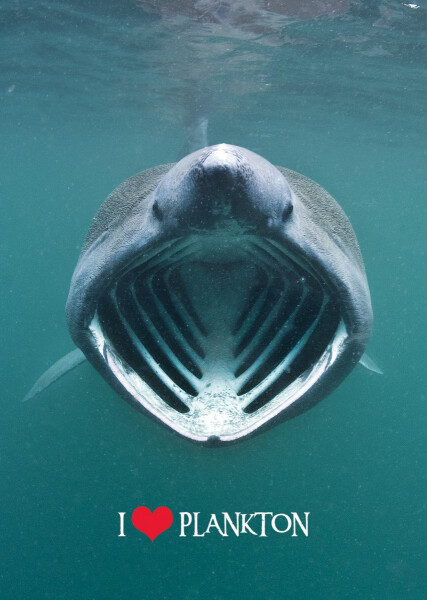 Pohlednice 3D Miluj plankton