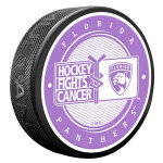 Mustang Puk Florida Panthers NHL Hockey Fights Cancer
