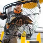 Zeck Přívlačový podběrák Folding Rubber Net M,Zeck Přívlačový podběrák Folding Rubber Net M