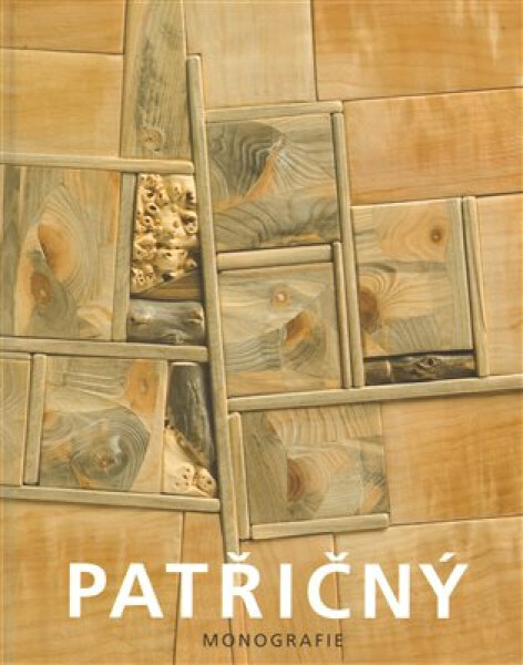 Patřičný. Monografie (poškozená) - Martin Patřičný