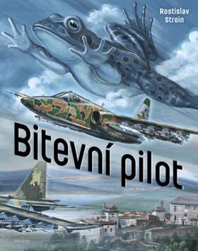 Bitevní pilot