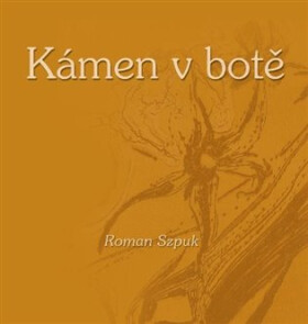 Kámen v botě - Roman Szpuk