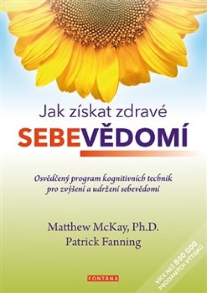 Jak získat zdravé sebevědomí Matthew McKay,