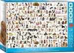 EUROGRAPHICS Puzzle Svět psů