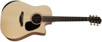Furch Blue Performance Dc-EW EAS-VTC CNR Active