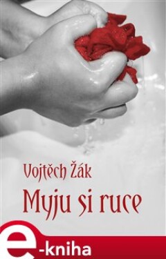 Myju si ruce - Vojtěch Žák e-kniha