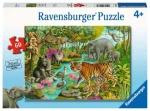Ravensburger Lesy Indie