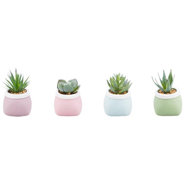 Sukulentní 7-10cm mix 93061