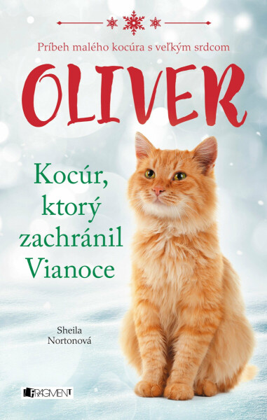 Oliver - kocúr, ktorý zachránil Vianoce - Sheila Nortonová