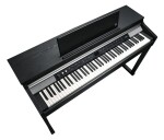 Kurzweil CUP P1 BK