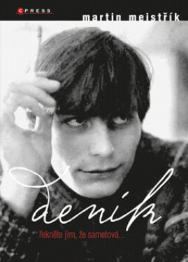 Deník (poškozená) - Martin Mejstřík