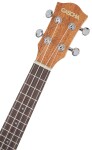 Cascha HH 2036 Concert Mahogany Ukulele Bundle