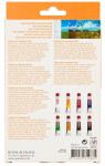 Royal Talens Olejové barvy Talens Art Creation 8 x 12 ml