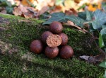 Mivardi Boilies Rapid Platinum ProActive Sea,Mivardi Boilies Rapid Platinum ProActive Sea