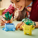 LEGO LEGO® Botanicals 10349 Veselé rostlinky