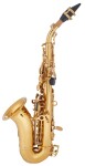 Bacio Instruments BSS-100C