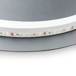 REA - Zrcadlo LED EGG 60x80 cm HOM-05523