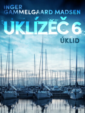 Uklízeč 6: Úklid - Inger Gammelgaard Madsen - e-kniha