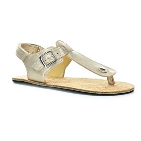 Koel Abriana Champagne