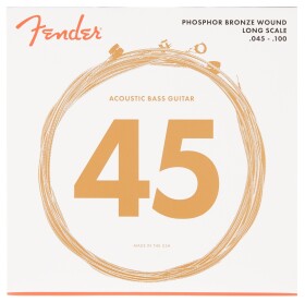 Fender 8060