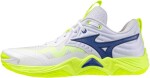 Volejbalová obuv Mizuno WAVE MOMENTUM ELITE V1GA251239 Velikost obuvi v EU: 38