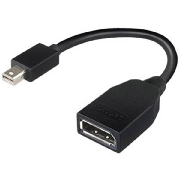 Lenovo 4X90L13971 adaptér [1x mini DisplayPort zástrčka - 1x zásuvka DisplayPort] černá