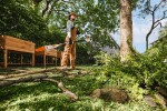 Aku vyvětvovací pila STIHL HTA 30