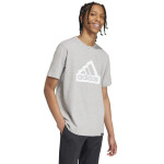 Adidas Modern Essentials Graphic M Tričko IW2648 pánské s
