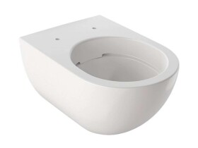 GEBERIT - Acanto Závěsné WC, Rimfree, bílá 500.600.01.2