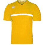 Dětské fotbalové tričko Formation Jr 02009-212 Zina